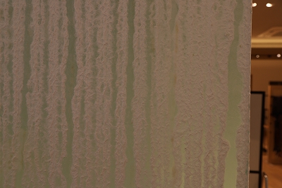 20250522cXãV~BwashiyaEX