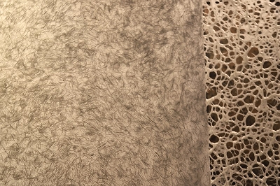 archive-512 MARUICHI TOKYO with WASHIYA 20251108 