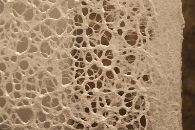 archive-512 MARUICHI TOKYO with WASHIYA 20251108 