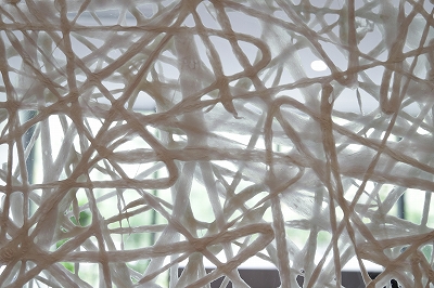 archive-527 kitchenhouse Sendai Showroom 20260814