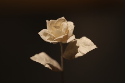 washi paper flower